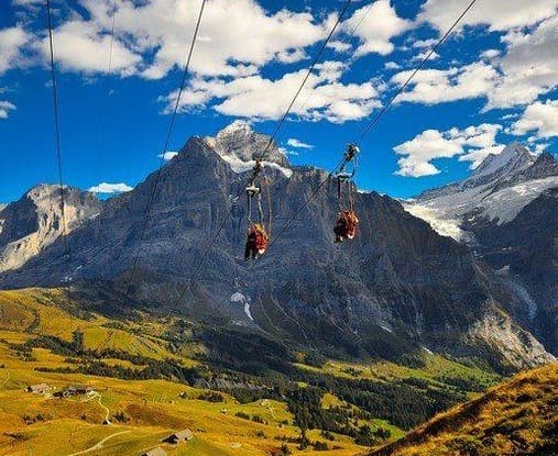 Zip Flyer