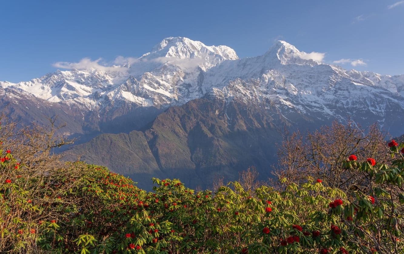 How Do You Plan the Mardi Himal Trek Step by Step?
