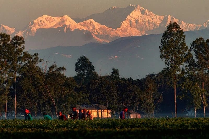 Kanchenjunga Trek