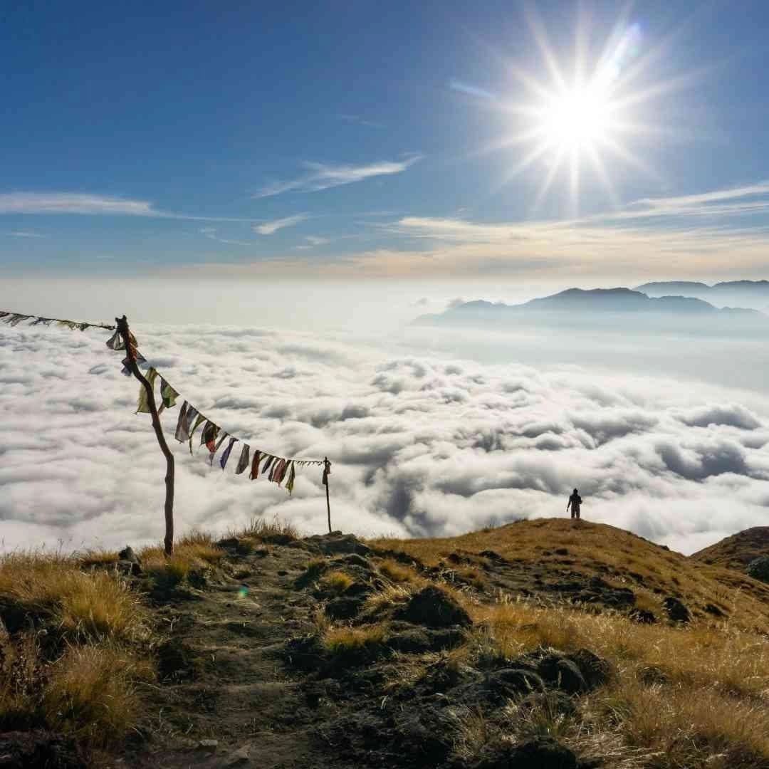 How to Choose the Best Trekking Company for Mardi Himal Trek?